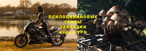 мескалин Переславль-Залесский