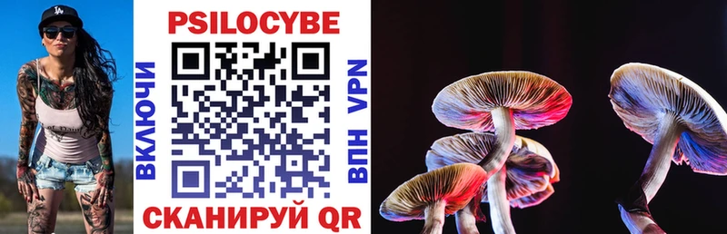 Галлюциногенные грибы MAGIC MUSHROOMS  darknet официальный сайт  Малаховка  магазин продажи  